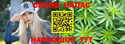 шишки Балахна
