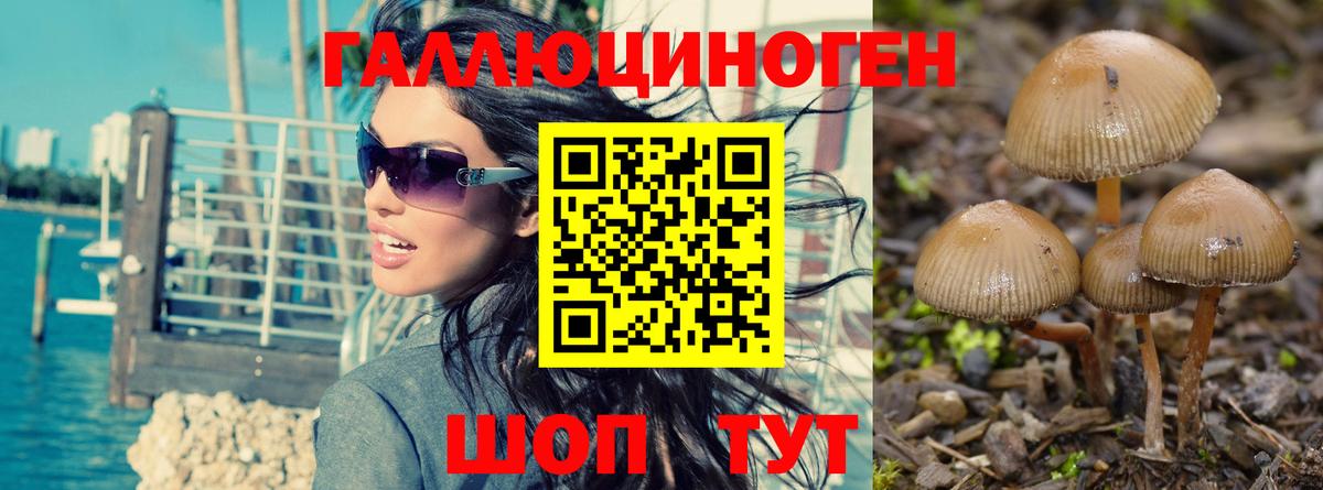 цены   Галлюциногенные грибы ЛСД  Вход с VPN  Батайск 